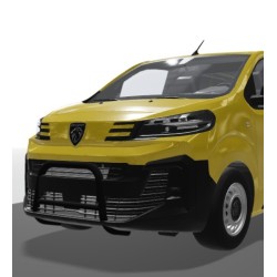 model 2025+